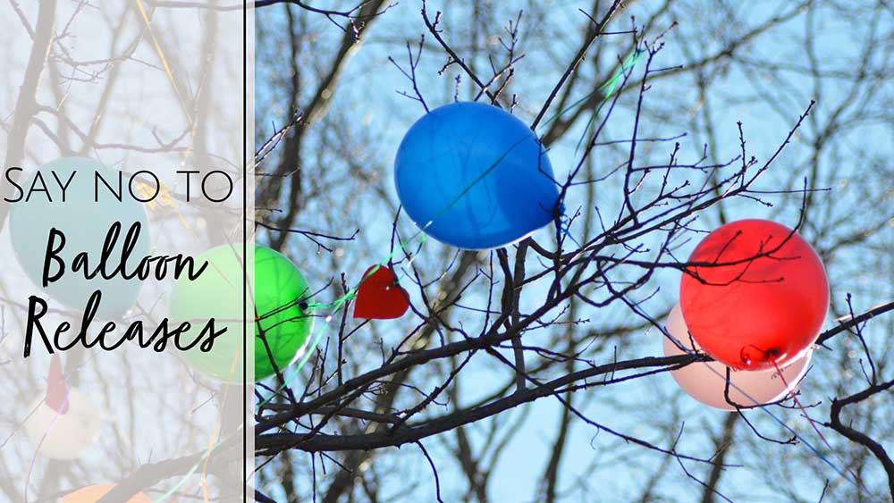 Balloon Releases in Jacksonville, FL