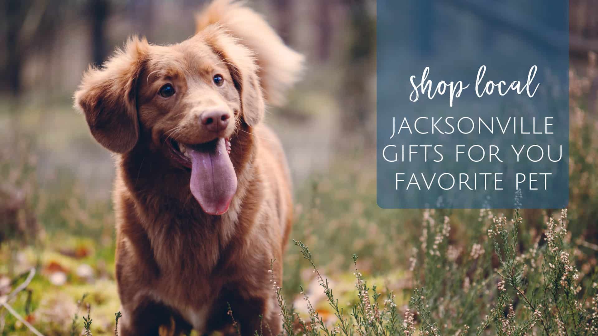Pet Gifts from Jacksonville - Jacksonville Beach Moms