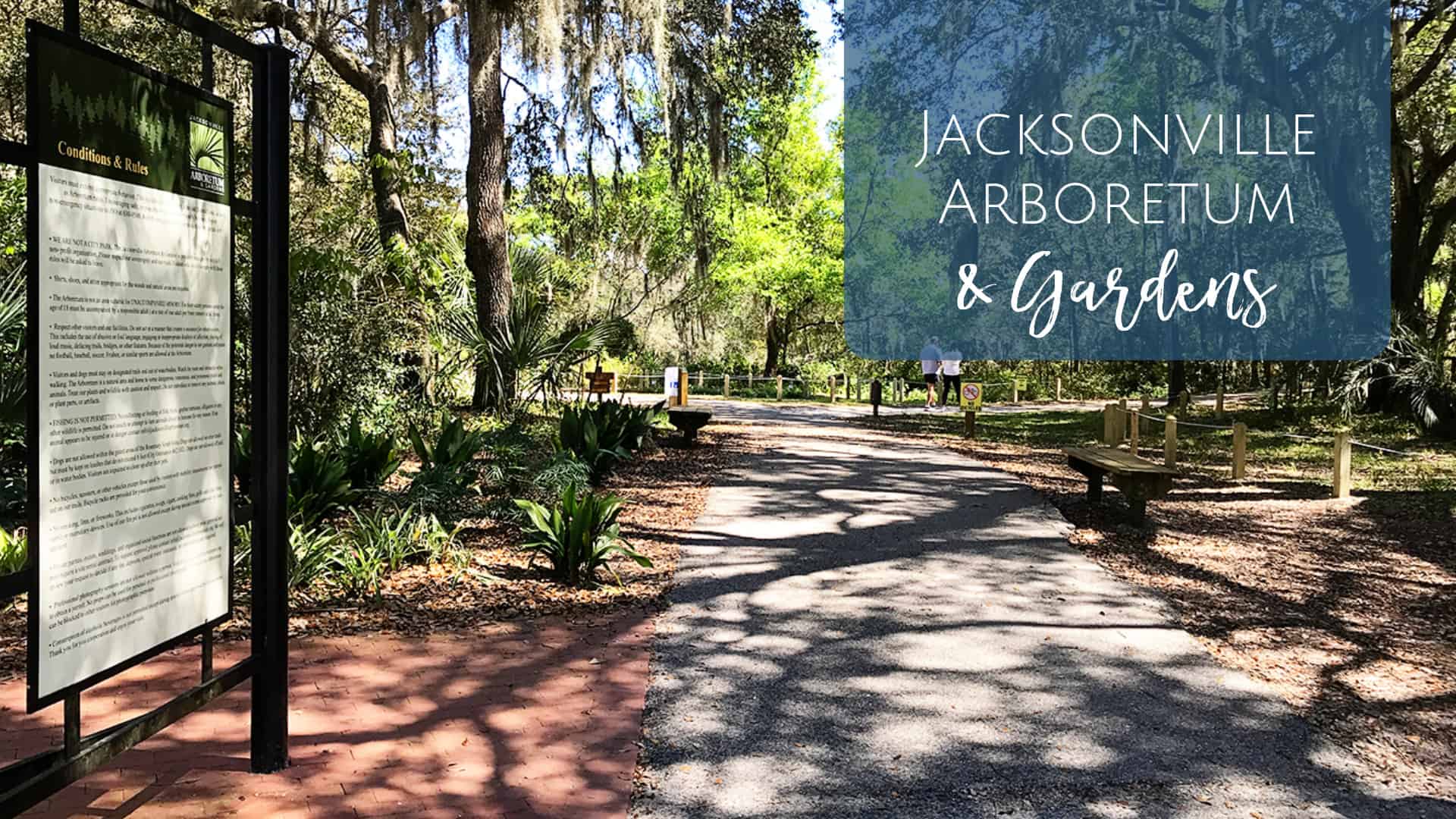 Jacksonville Arboretum and Gardens - Jacksonville Beach Moms