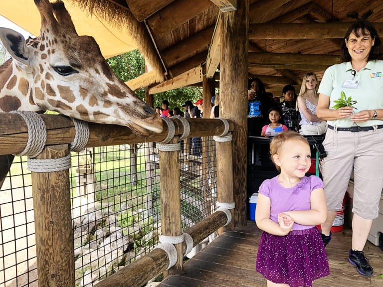 The Jacksonville Zoo: 7 Things we Love - Jacksonville Beach Moms