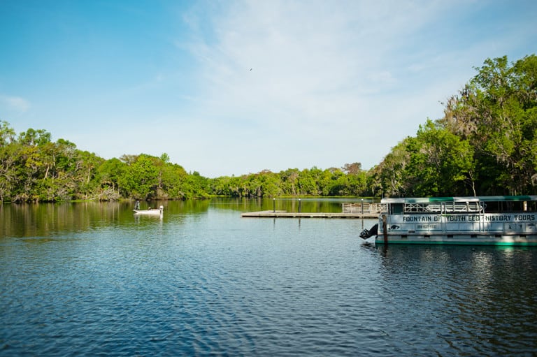 Florida Springs Day Trips from Jacksonville - Jacksonville Beach Moms