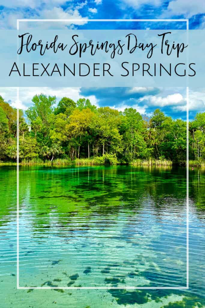 Alexander Springs: Florida Springs Day Trip - Jacksonville Beach Moms