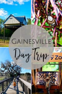 tours de jours gainesville