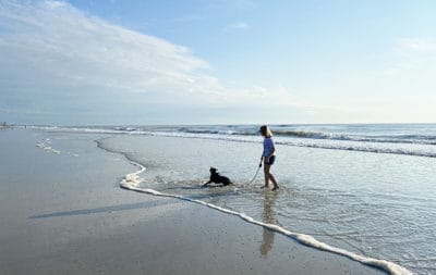 Ultimate Guide to Dog Friendly Beaches in Jacksonville - Jacksonville ...