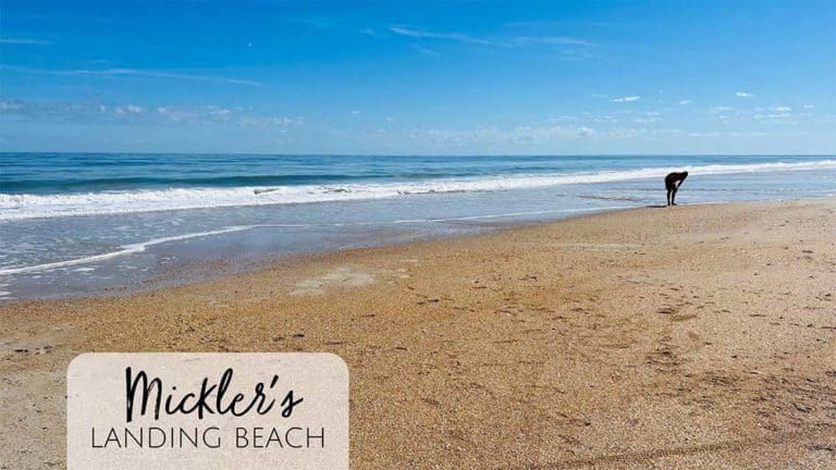 Mickler's Landing Beach - Jacksonville Beach Moms