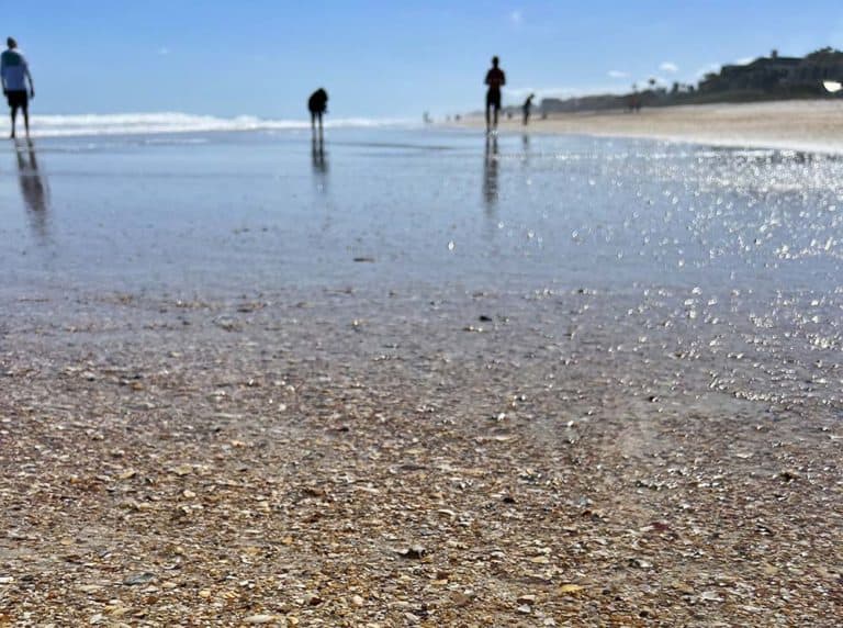 Mickler's Landing Beach - Jacksonville Beach Moms