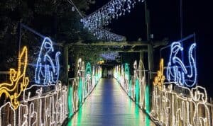 jacksonville zoo lights discount