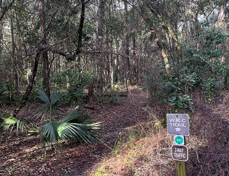 Tillie K. Fowler Regional Park: Bike, Hike & Explore - Jacksonville ...