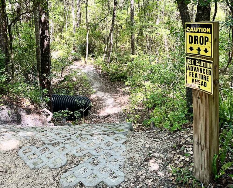 Biking at Bulls Bay Preserve - Jacksonville Beach Moms