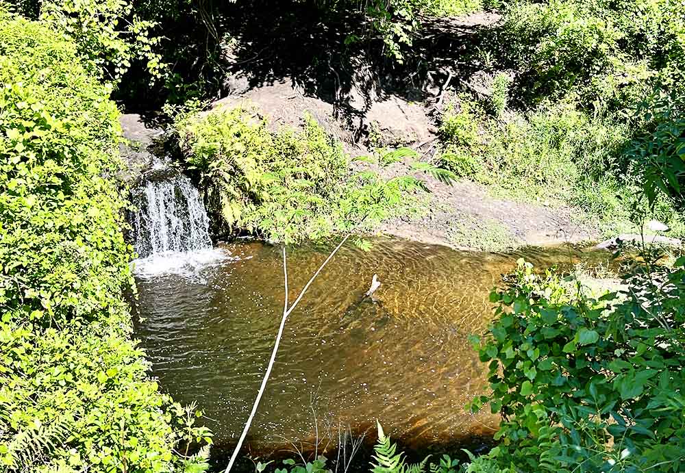 Bulls Bay Preserve Park Waterfall