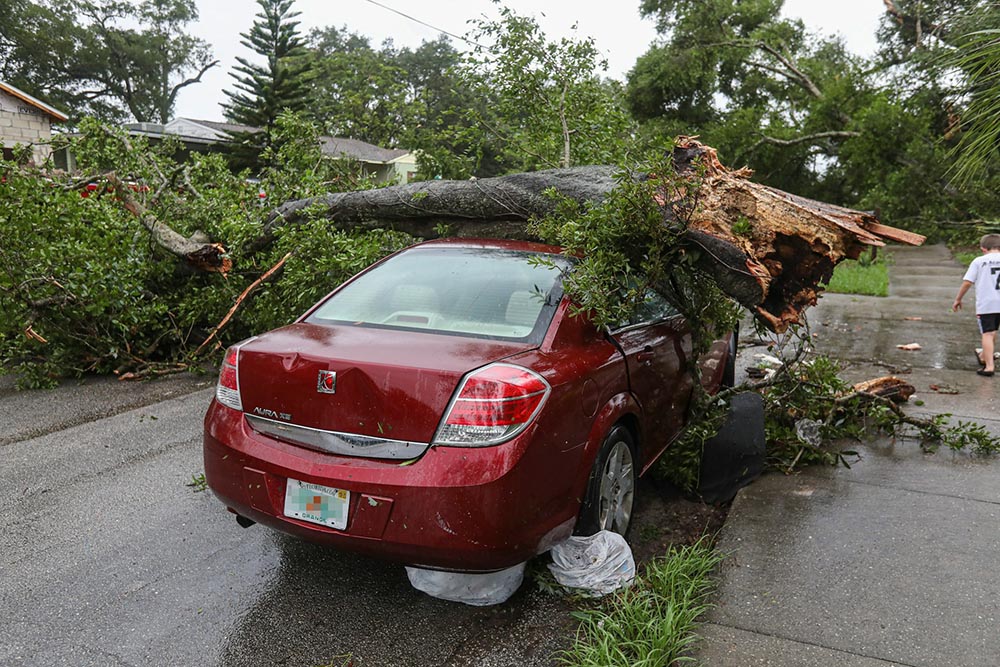 Hurricane Season in North Florida