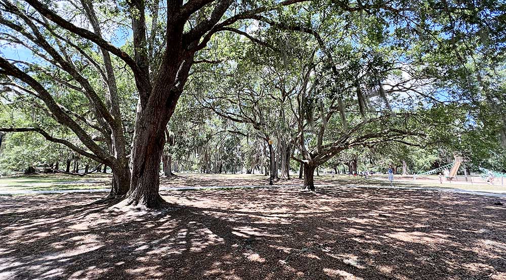 Jacksonville shaded playgrounds and parks