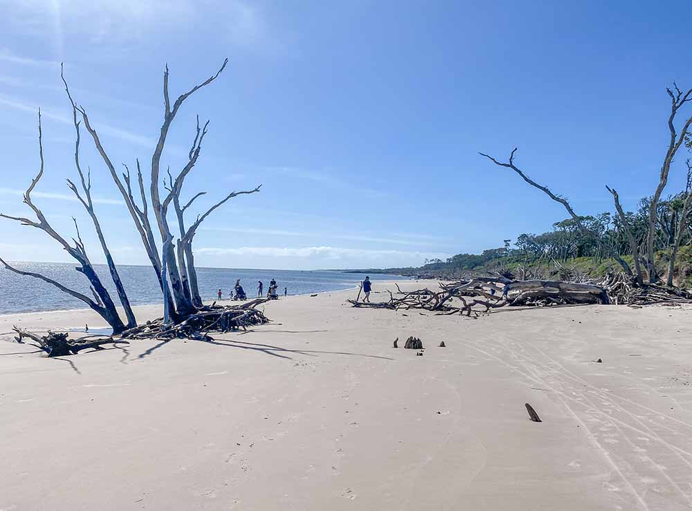 Big Talbot Island State Park in Jacksonville, FL