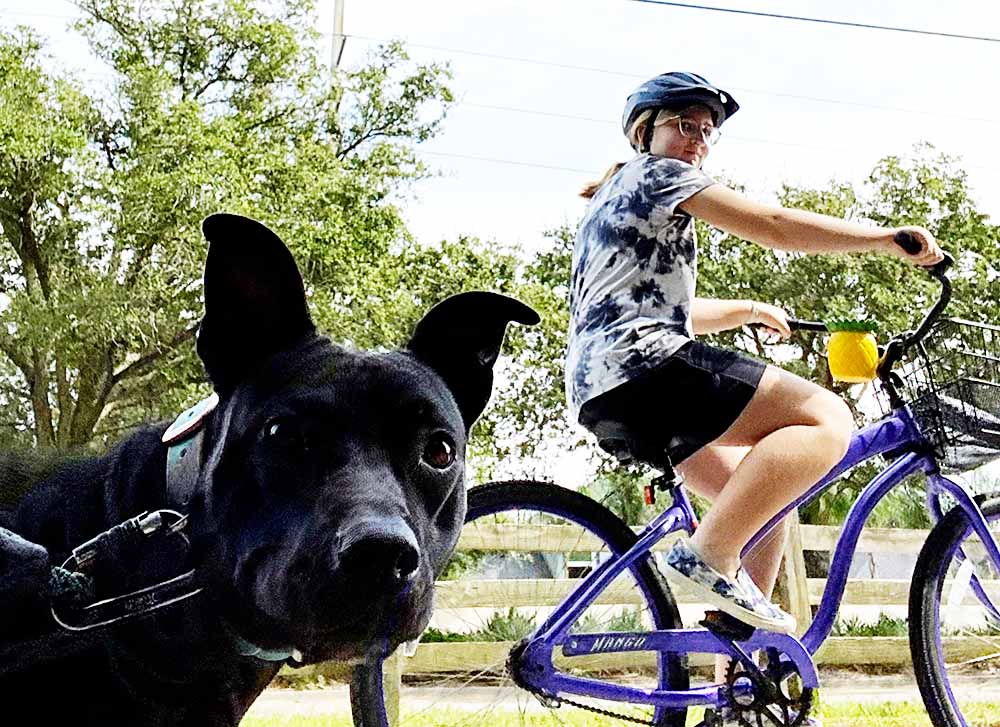 Family Friendly Bike Trails in Jacksonville, FL