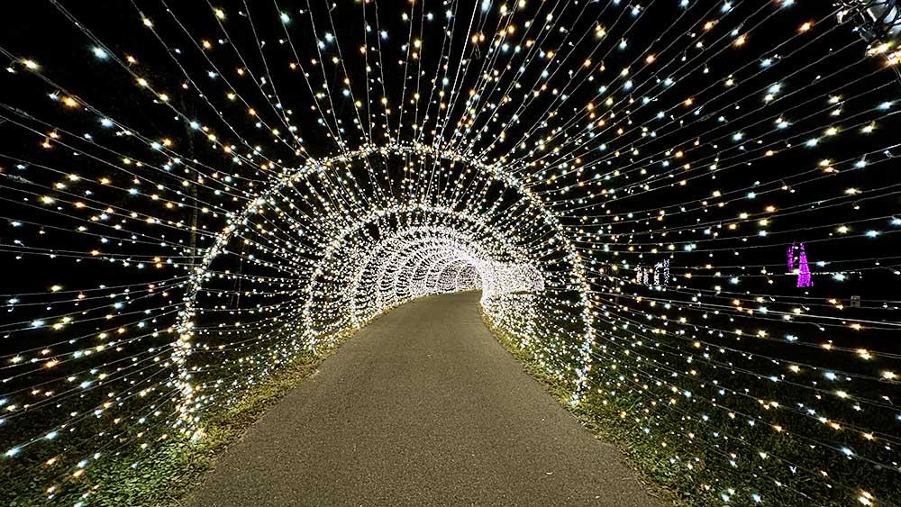 Glowing Gardens at the Jacksonville Arboretum