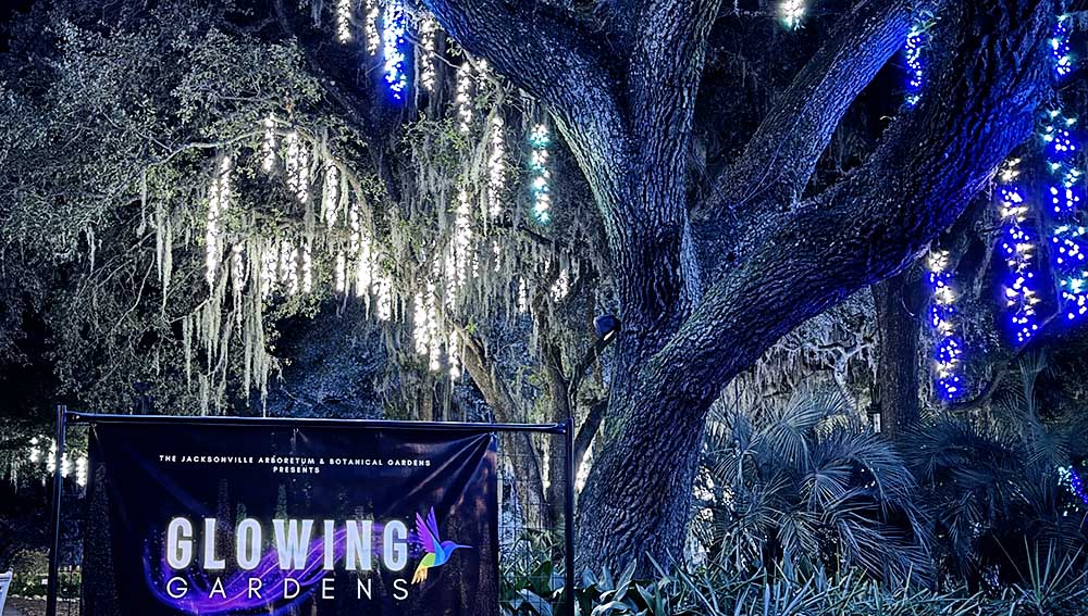 Glowing Gardens Holiday Lights Jacksonville Arboretum and Botanical Gardens