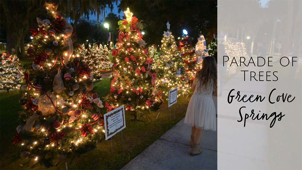 Parade of Trees in Green Cove Springs, FL