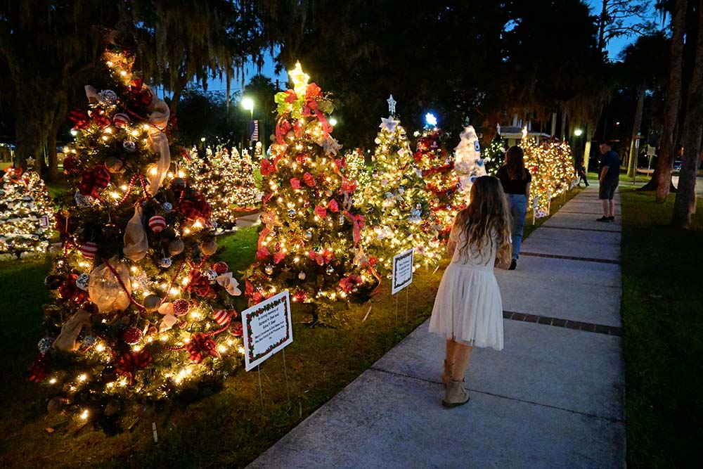 Parade of Trees in Green Cove Springs, FL