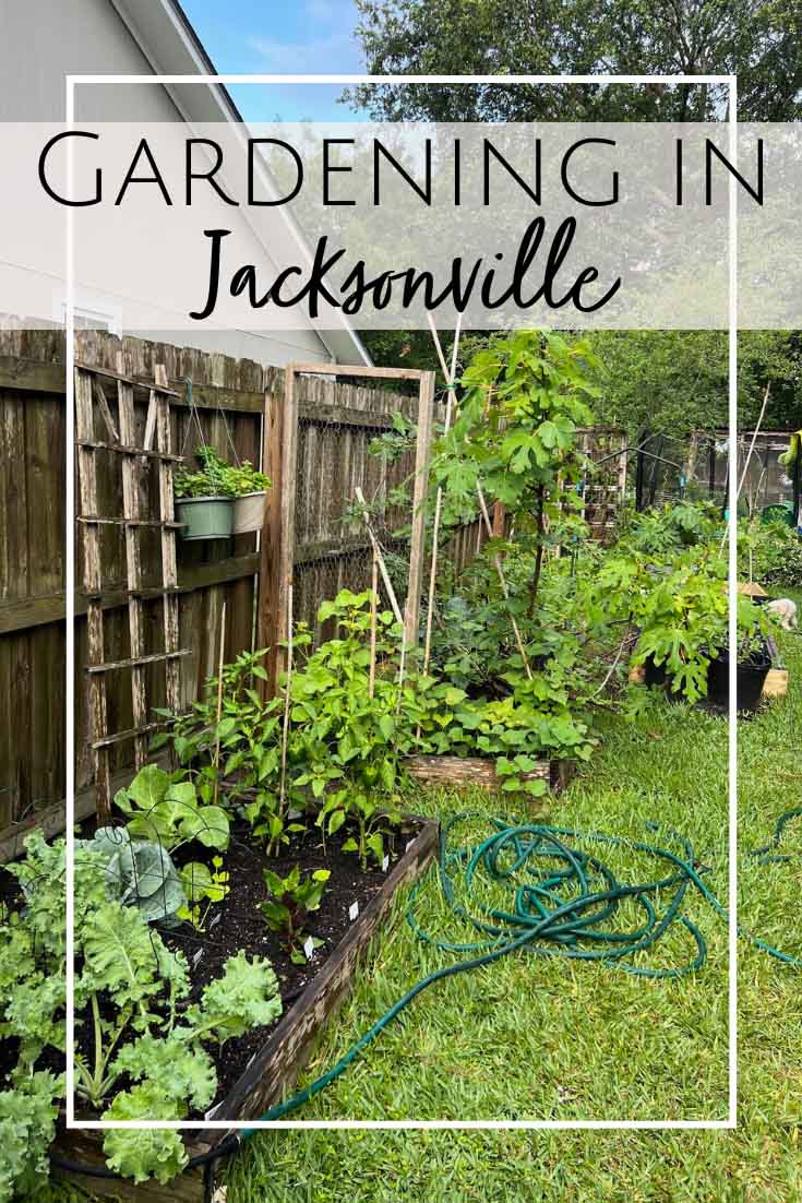 Gardening Tips & Tricks for Jacksonville, FL