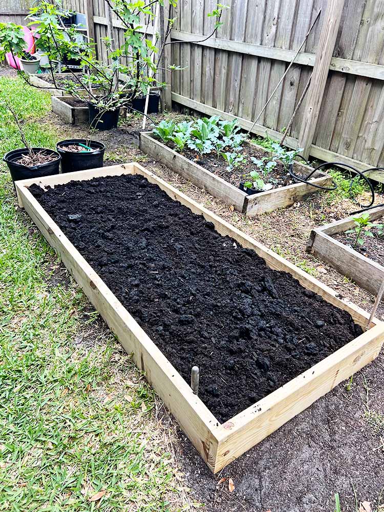 Raised Garden Beds Jacksonville, FL